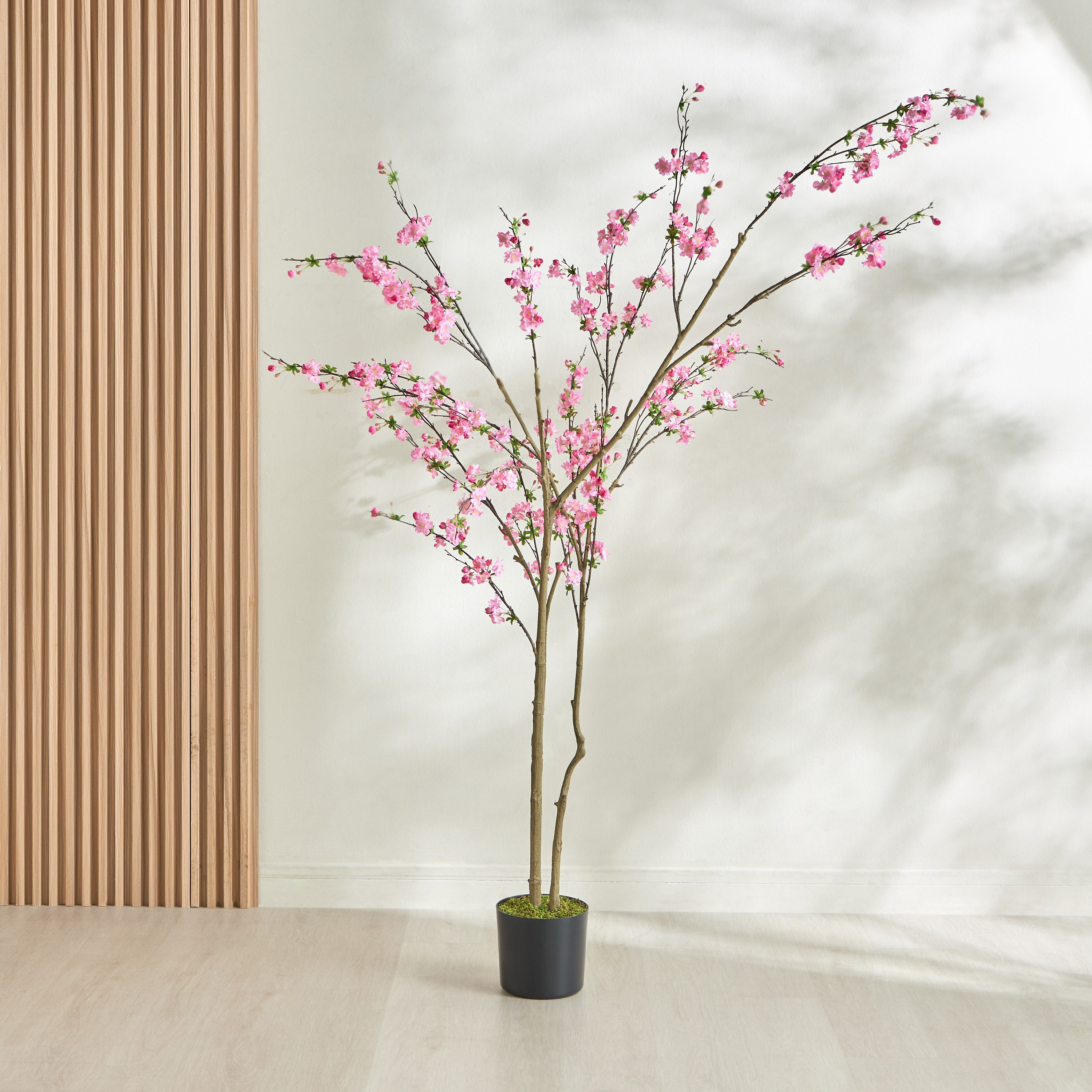 Wild Cherry Blossom Tree - 228 cm-household-gardenandoutdoor-trees-image-1