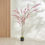 شجرة كرز بري - ‎228 سم‎-household-gardenandoutdoor-trees-image-4
