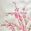 شجرة كرز بري - ‎228 سم‎-household-gardenandoutdoor-trees-image-3