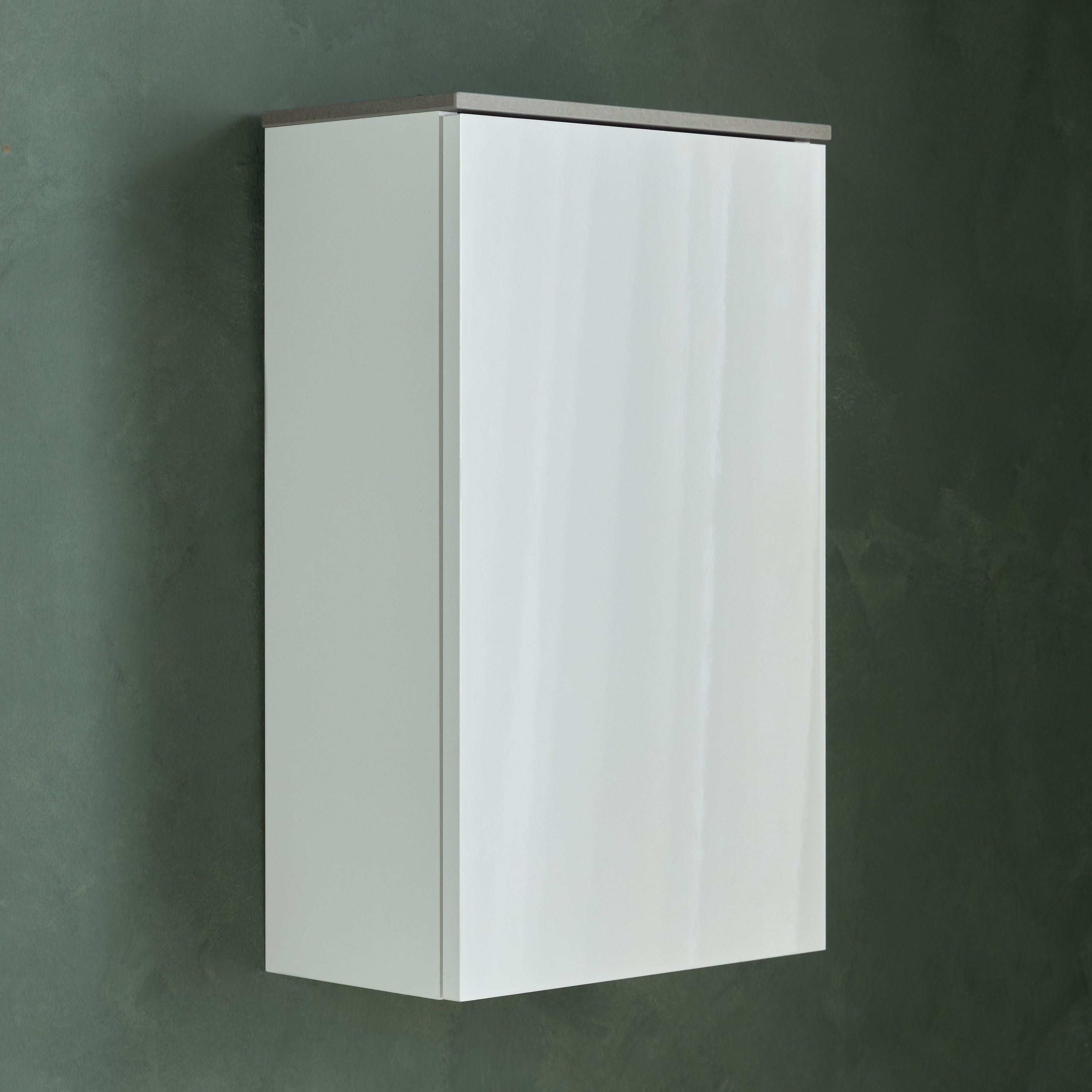 Galaverna Wall Mounted 1-Door Storage Cabinet