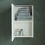 Galaverna Wall Mounted 1-Door Storage Cabinet-furniture-storage-bathroomstorage-laundryfurniture-image-4