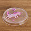 Laney Soap Dish-babyandkids-bathandstorage-bath-bathroomaccessories-image-1