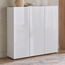 Elvara 30-Pair Shoe Cabinet-furniture-livingroom-shoeracks-image-1