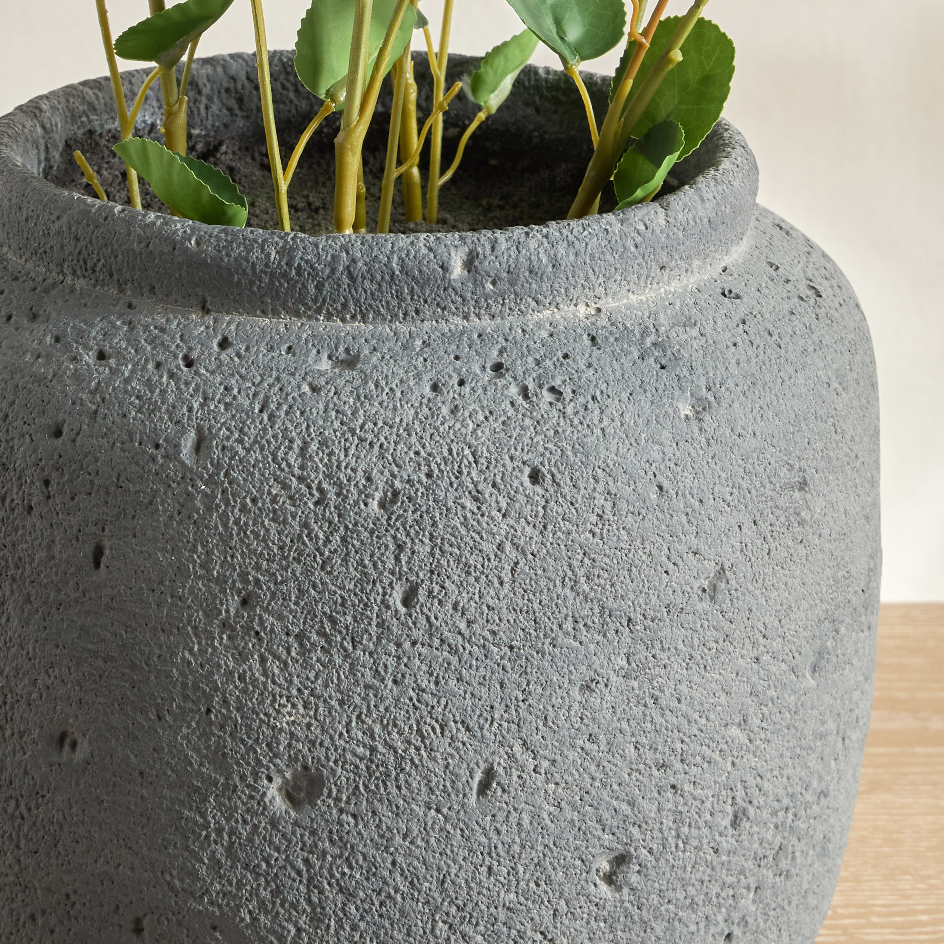 Slate Polyscias Balfouriana in Pot - 62 cm-household-gardenandoutdoor-artificialplants-pottedplants-image-2