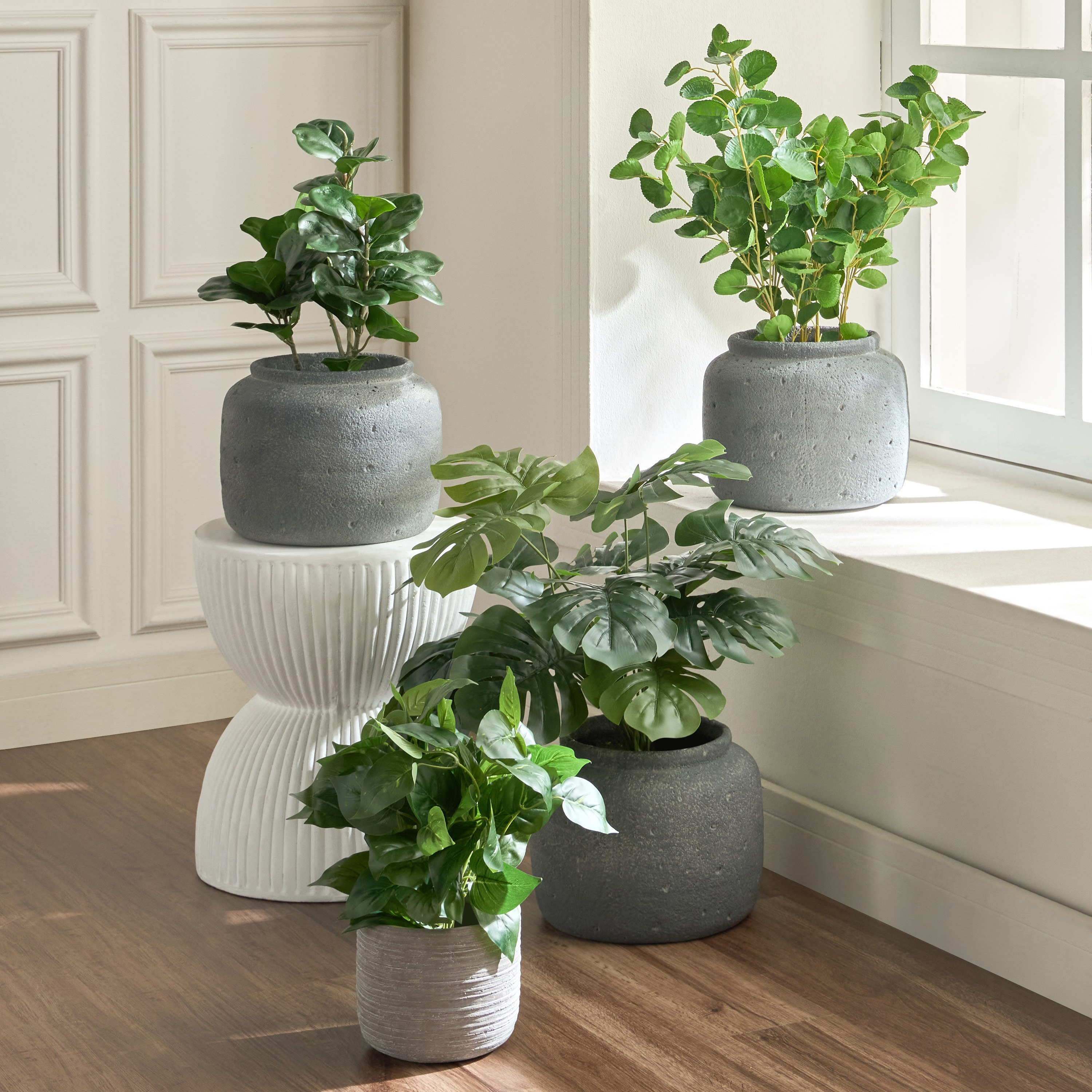 Slate Polyscias Balfouriana in Pot - 62 cm-household-gardenandoutdoor-artificialplants-pottedplants-image-4