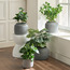 Slate Monstera in Pot - 53 cm-household-gardenandoutdoor-artificialplants-pottedplants-image-4