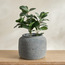 Slate Fiddle Leaf Tree in Pot - 54 cm-household-gardenandoutdoor-artificialplants-pottedplants-image-1