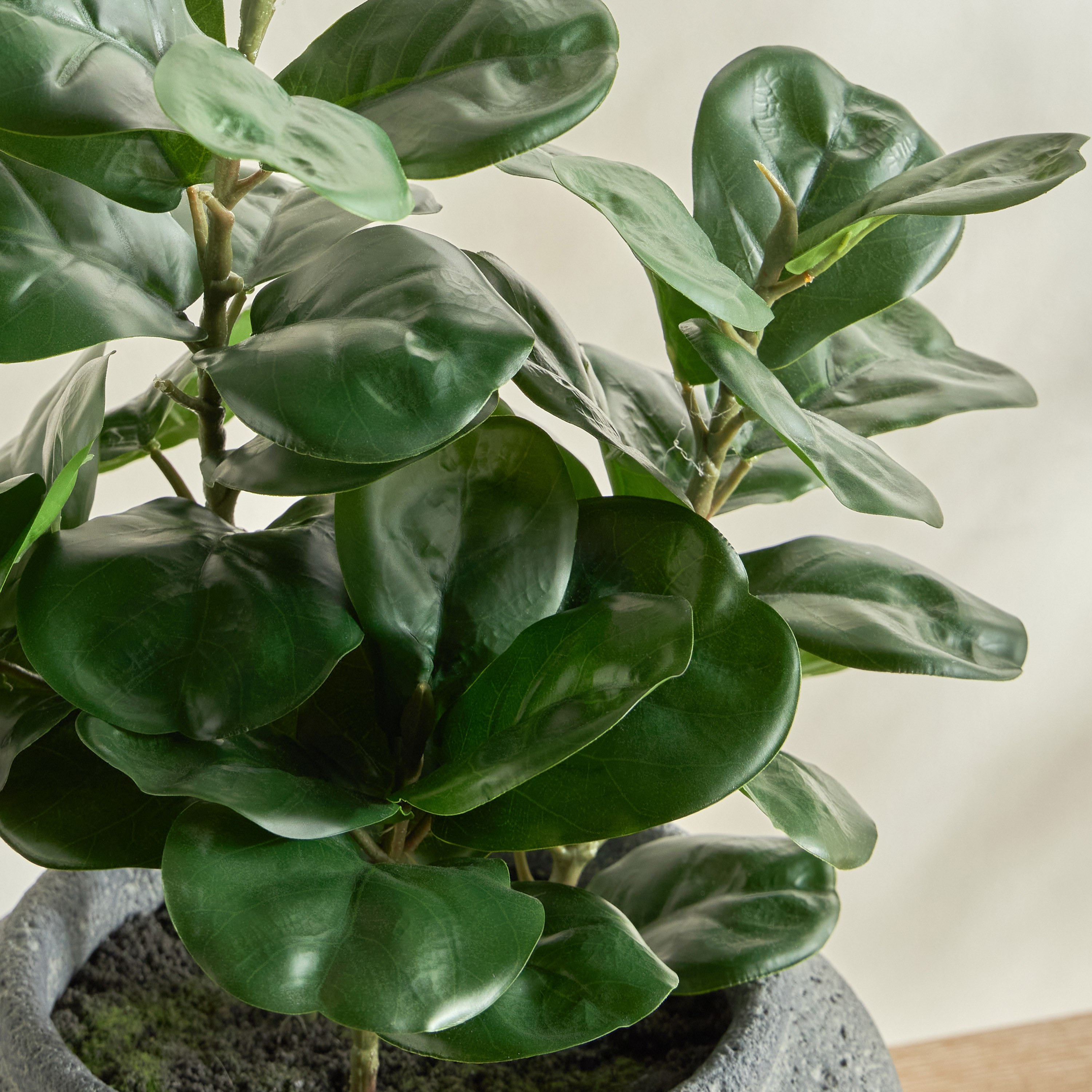 Slate Fiddle Leaf Tree in Pot - 54 cm-household-gardenandoutdoor-artificialplants-pottedplants-image-2