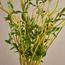 Chantilly Leaves in Ceramic Pot - 60 cm-household-gardenandoutdoor-artificialplants-pottedplants-image-2