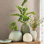Chantilly Leaves in Ceramic Pot - 60 cm-household-gardenandoutdoor-artificialplants-pottedplants-image-4