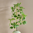 Sprig Aesculus Stem - 125 cm-household-gardenandoutdoor-artificialflowersandplants-fillers-image-1