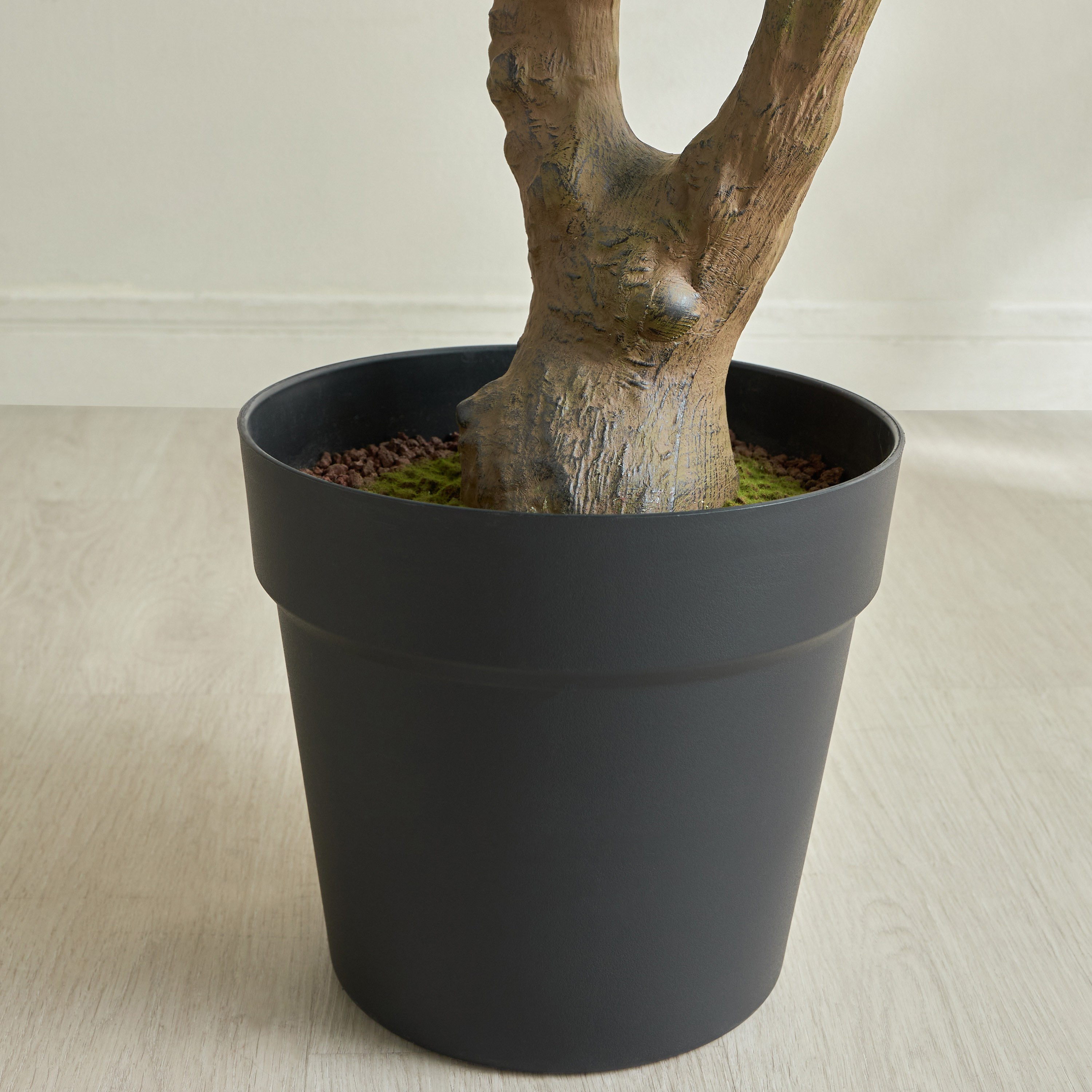 Ficus Tree - 210 cm-household-gardenandoutdoor-trees-image-3