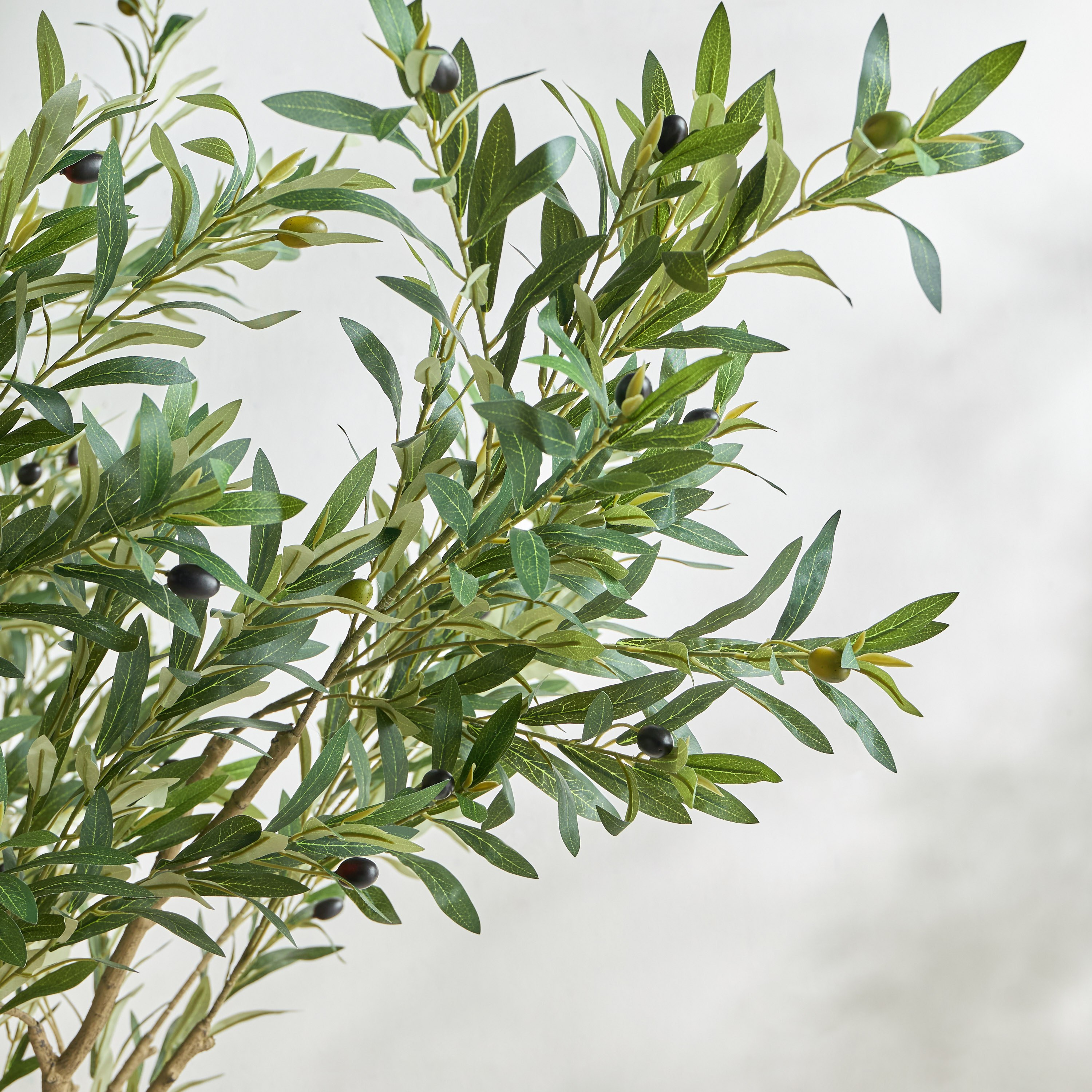 شجرة زيتون - 240 سم-household-gardenandoutdoor-trees-image-2