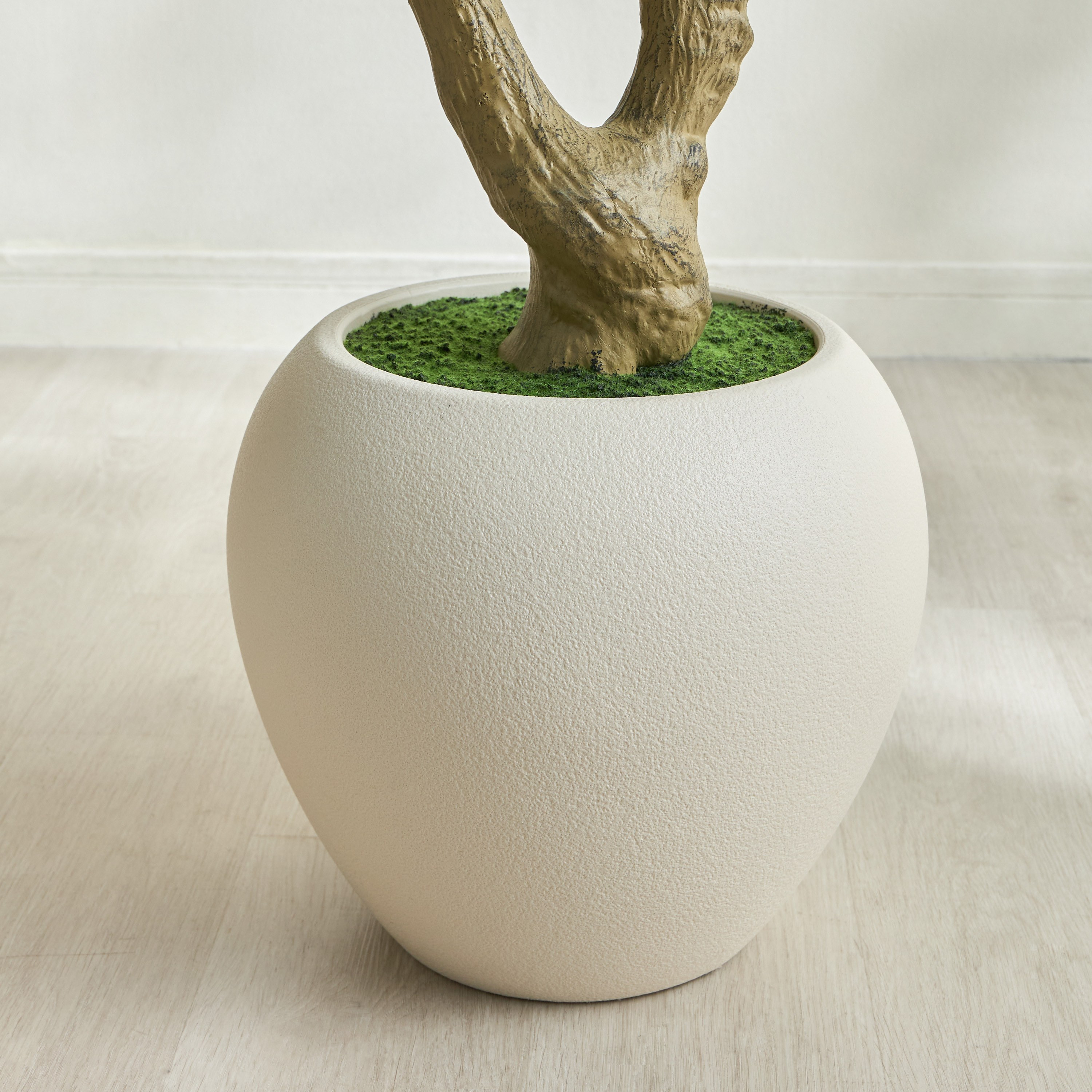 شجرة زيتون - 240 سم-household-gardenandoutdoor-trees-image-3