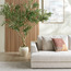 شجرة زيتون - 240 سم-PROMO_HC_SA_TESTBINPROMO_080926-image-1