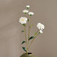 Carnation Flower Stem - 60 cm-household-gardenandoutdoor-artificialflowersandplants-stems-image-4