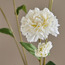 Carnation Flower Stem - 60 cm-household-gardenandoutdoor-artificialflowersandplants-stems-image-5