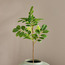 Sprig Twig Snowflake Leaves - 59 cm-household-gardenandoutdoor-artificialflowersandplants-fillers-image-1