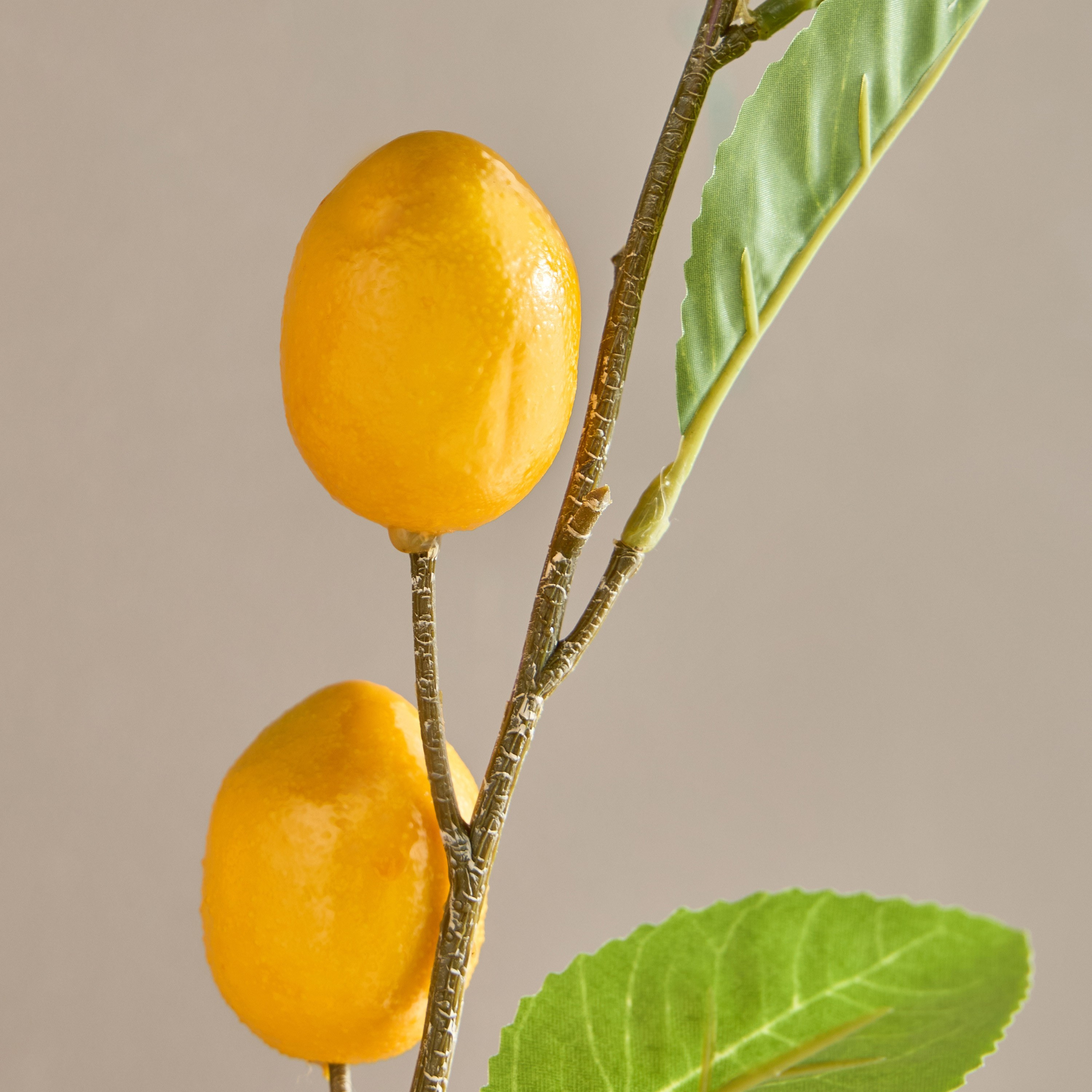 غصن ليمون - 60 سم-household-gardenandoutdoor-artificialflowersandplants-fillers-image-2