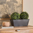 شجيرة ميلان مزدوجة أنيقة - 29 سم-household-gardenandoutdoor-artificialplants-pottedplants-image-1