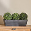 Milan Triple Bush Arrangement - 29 cm-household-gardenandoutdoor-artificialplants-pottedplants-image-1