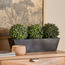 Milan Triple Bush Arrangement - 29 cm-household-gardenandoutdoor-artificialplants-pottedplants-image-3