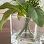 Clarity Peony in Pot - 16 cm-household-gardenandoutdoor-artificialflowersandplants-flowers-image-3