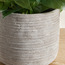 Slate Scindapsus in Pot - 38 cm-household-gardenandoutdoor-artificialplants-pottedplants-image-3