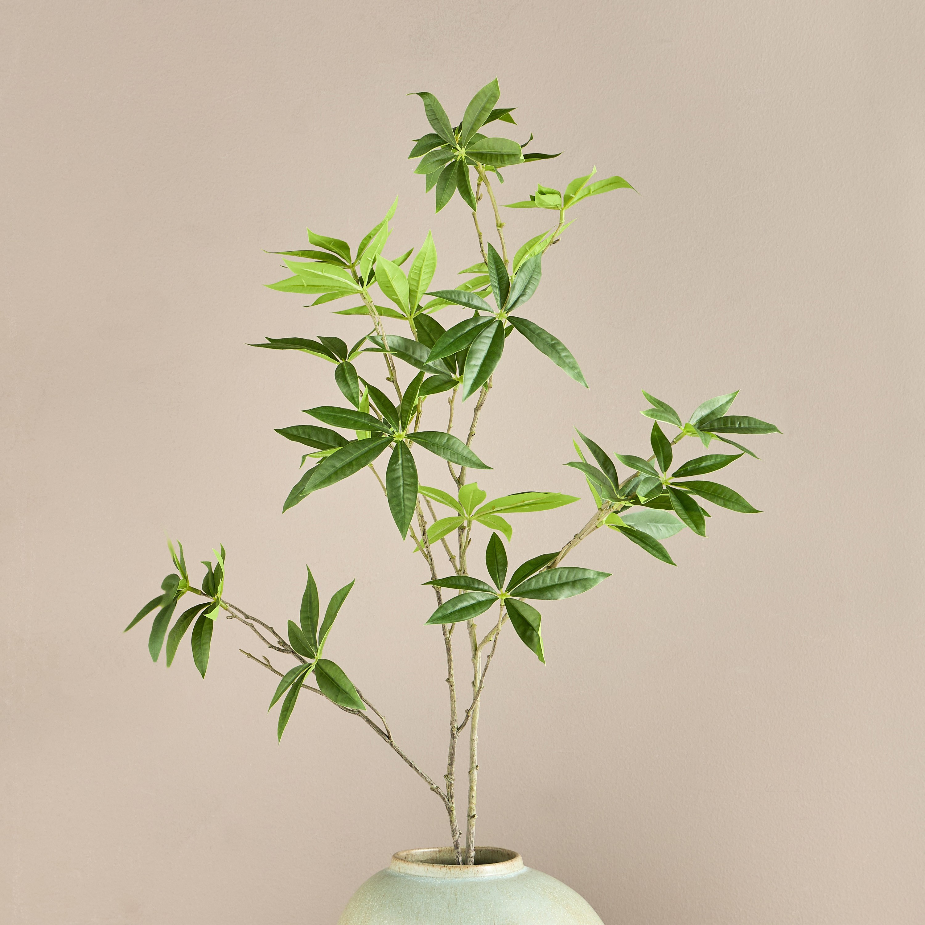 Fortune Leaf Branch - 113 cm-household-gardenandoutdoor-artificialflowersandplants-fillers-image-1