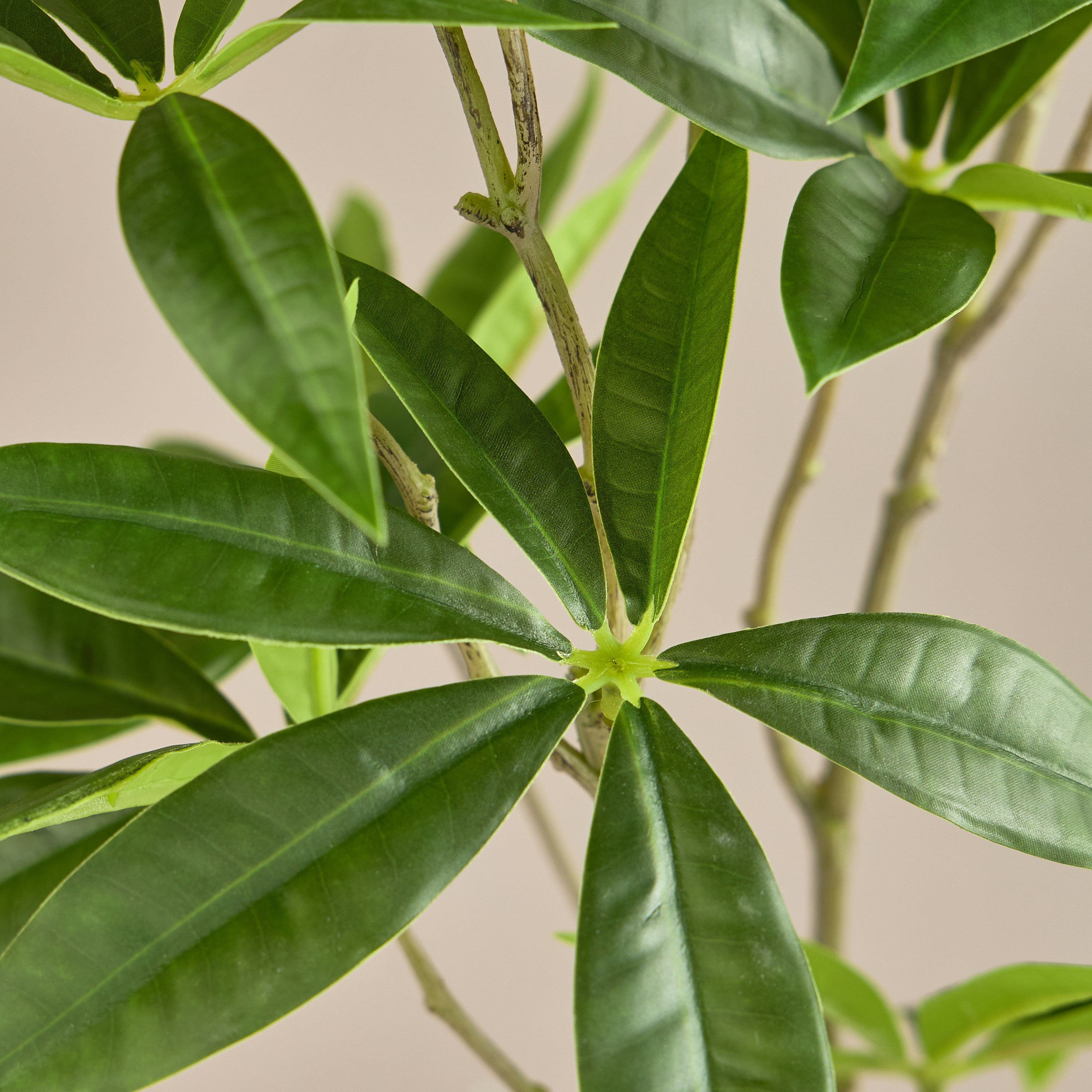 Fortune Leaf Branch - 113 cm-household-gardenandoutdoor-artificialflowersandplants-fillers-image-2