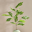 Rosewood Stem - 116 cm-household-gardenandoutdoor-artificialflowersandplants-fillers-image-1