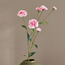 Carnation Flower Stem - 60 cm-household-gardenandoutdoor-artificialflowersandplants-stems-image-1