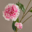 Carnation Flower Stem - 60 cm-household-gardenandoutdoor-artificialflowersandplants-stems-image-2