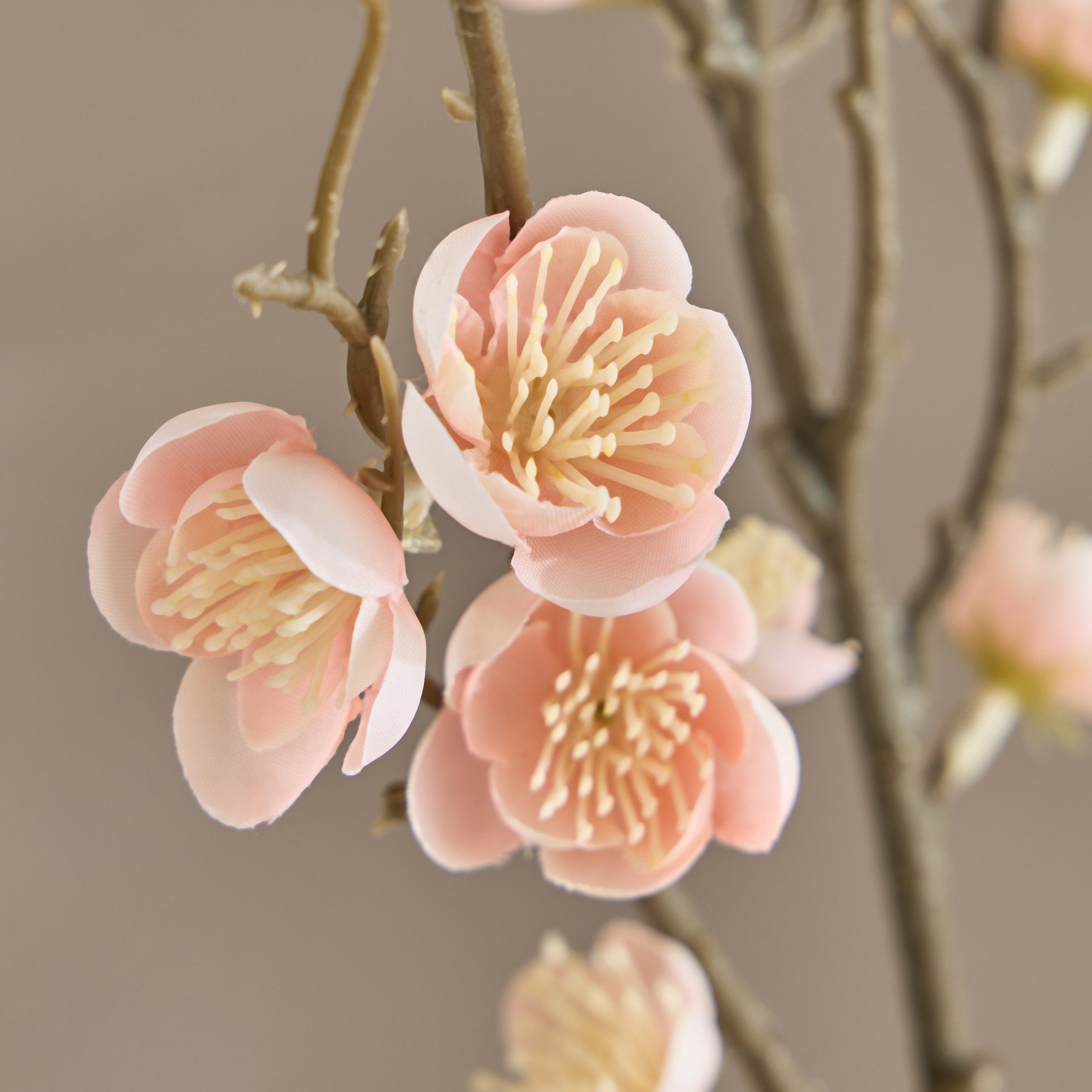 غصن شيمونانثوس - 93 سم-household-gardenandoutdoor-artificialflowersandplants-fillers-image-2