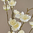 غصن شيمونانثوس - 93 سم-household-gardenandoutdoor-artificialflowersandplants-fillers-image-2