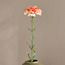 Carnation Stem - 50 cm-household-gardenandoutdoor-artificialflowersandplants-stems-image-1
