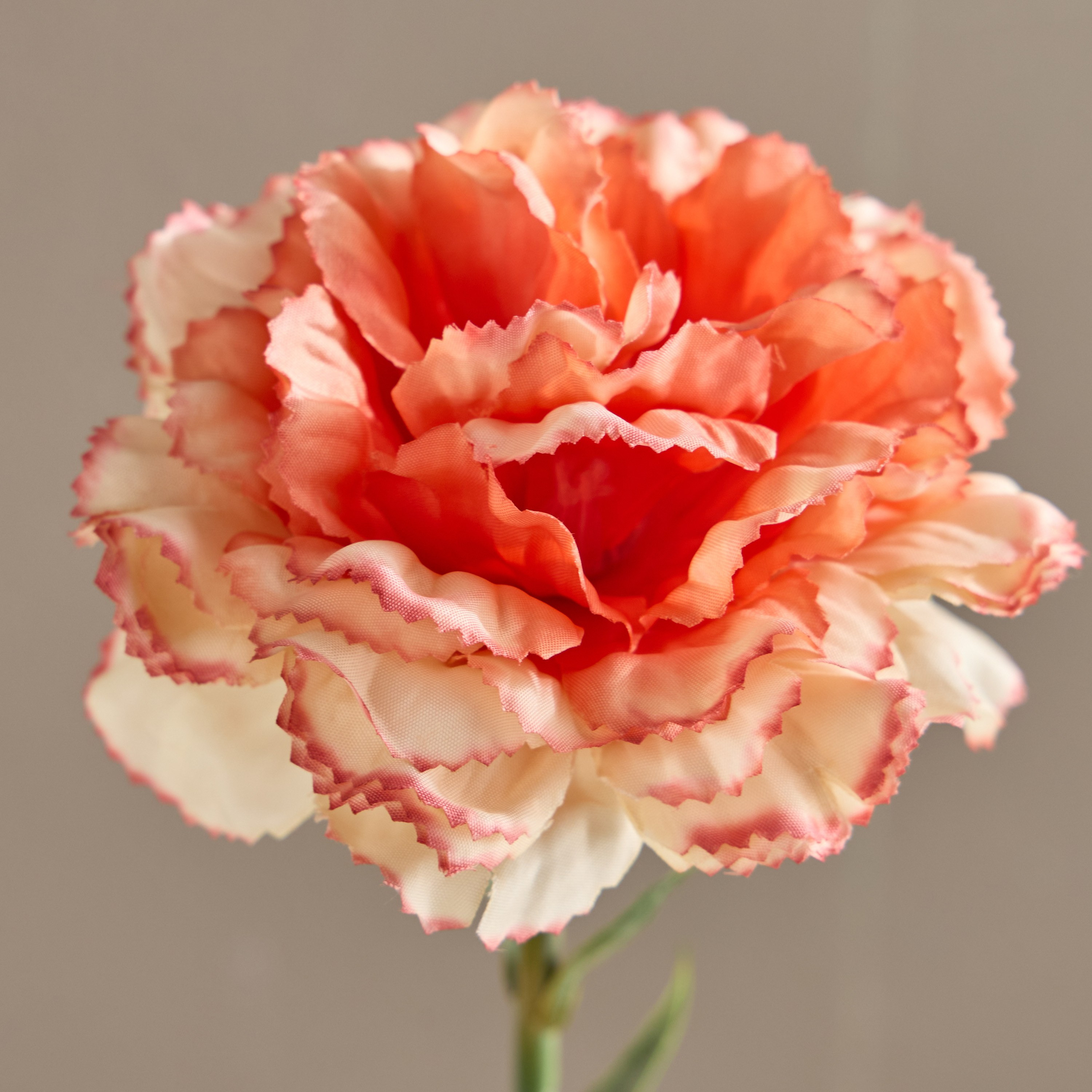 غصن قرنفل - 50 سم-household-gardenandoutdoor-artificialflowersandplants-stems-image-2