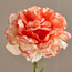 Carnation Stem - 50 cm-household-gardenandoutdoor-artificialflowersandplants-stems-image-2