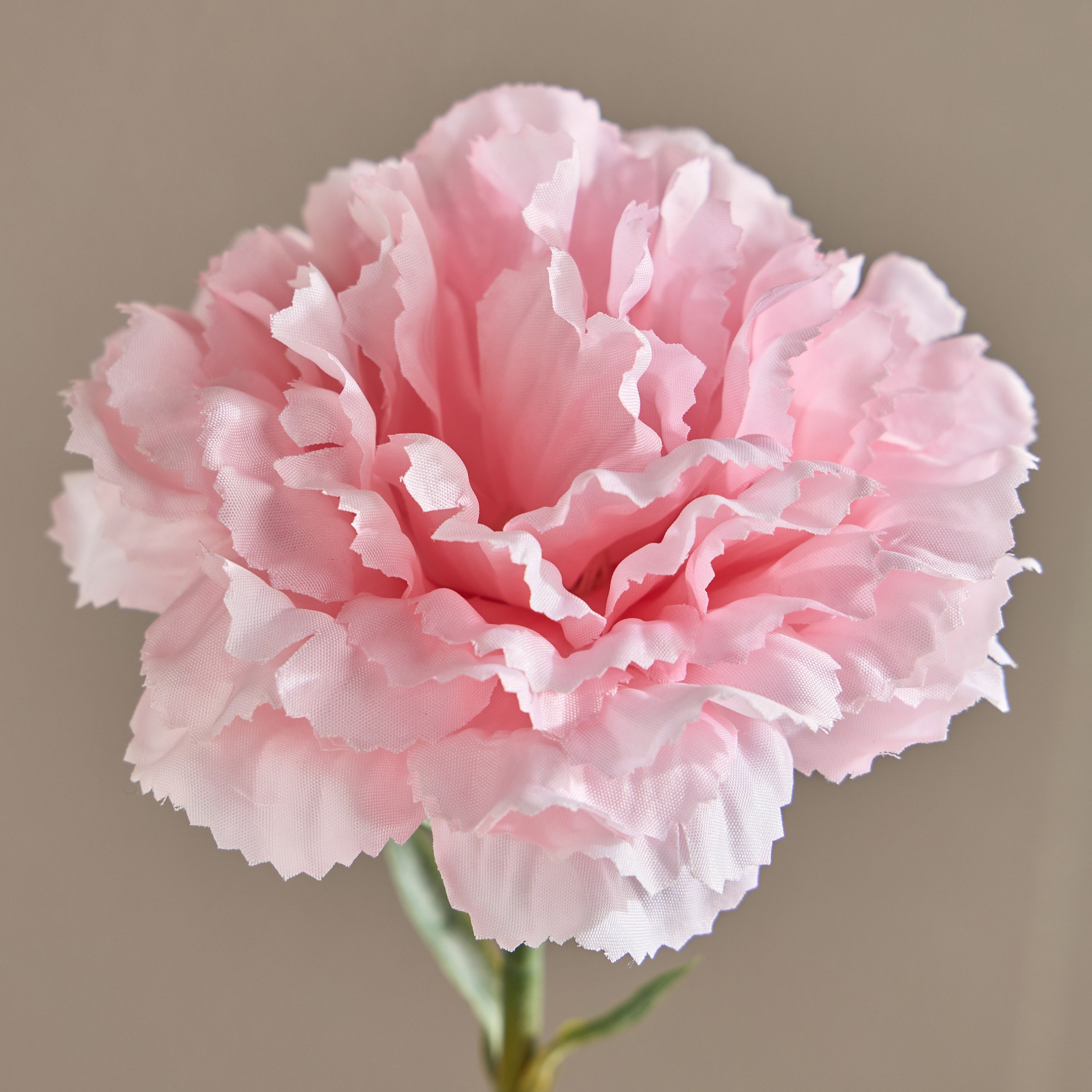 غصن قرنفل - 50 سم-household-gardenandoutdoor-artificialflowersandplants-stems-image-2