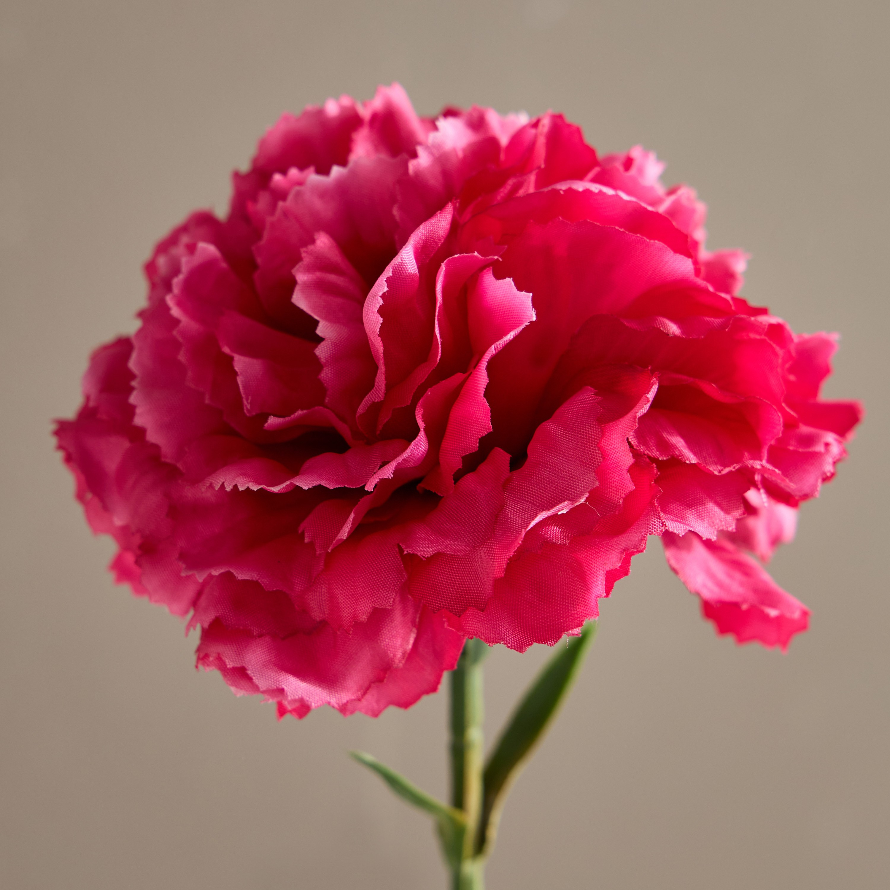 Carnation Stem - 50 cm-household-gardenandoutdoor-artificialflowersandplants-stems-image-2