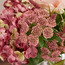 تشكيلة زهور مختلطة في مزهرية - كلاريتي جلي - 53 سم-household-gardenandoutdoor-artificialflowersandplants-flowers-image-3
