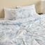 Rey Printed 6-Piece Super King BIAB Comforter Set - 240x260 cm-household-bedding-comfortersandbedspreads-bedinabag-image-7