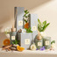 Rattalay Breathe Oxygen Reed Diffuser - 220 ml-household-homefragrance-reeddiffusers-image-4