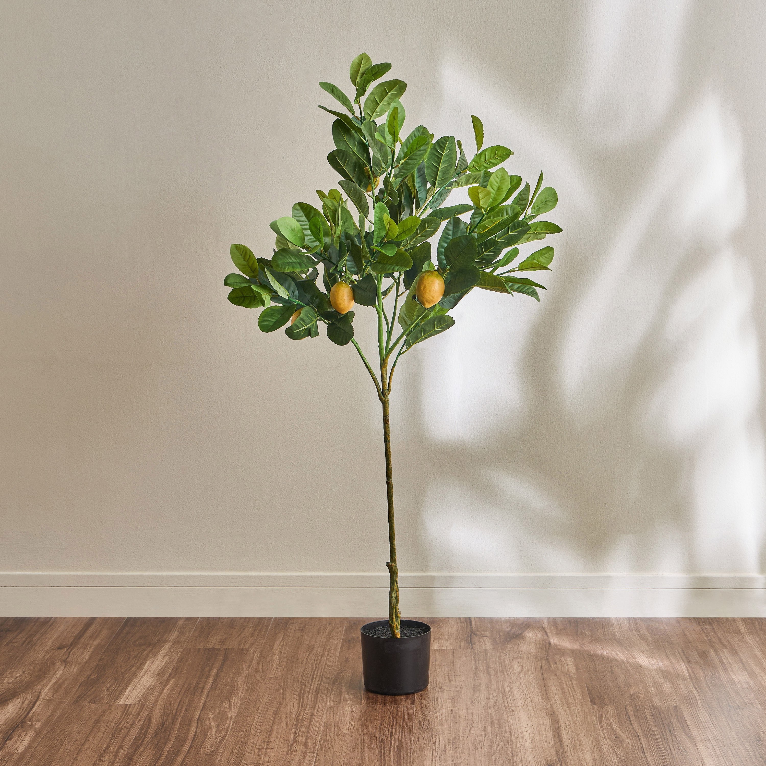 Lemon Tree - 120 cm-household-gardenandoutdoor-trees-image-1