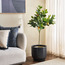 شجرة ليمون - 120 سم-binpromo_KSA_Alrajhi_17062026-image-1