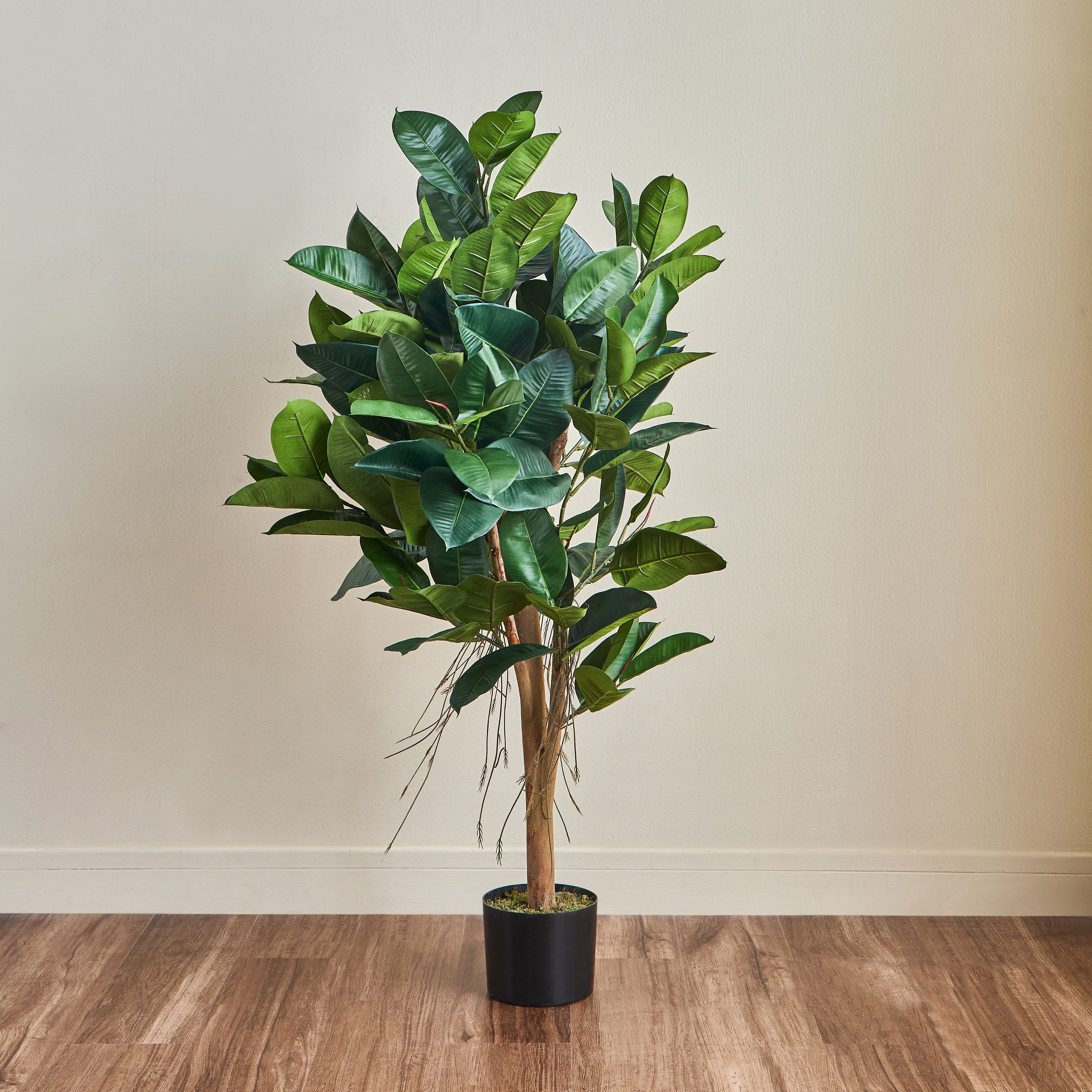 شجرة مطاط - 130 سم-household-gardenandoutdoor-trees-image-1