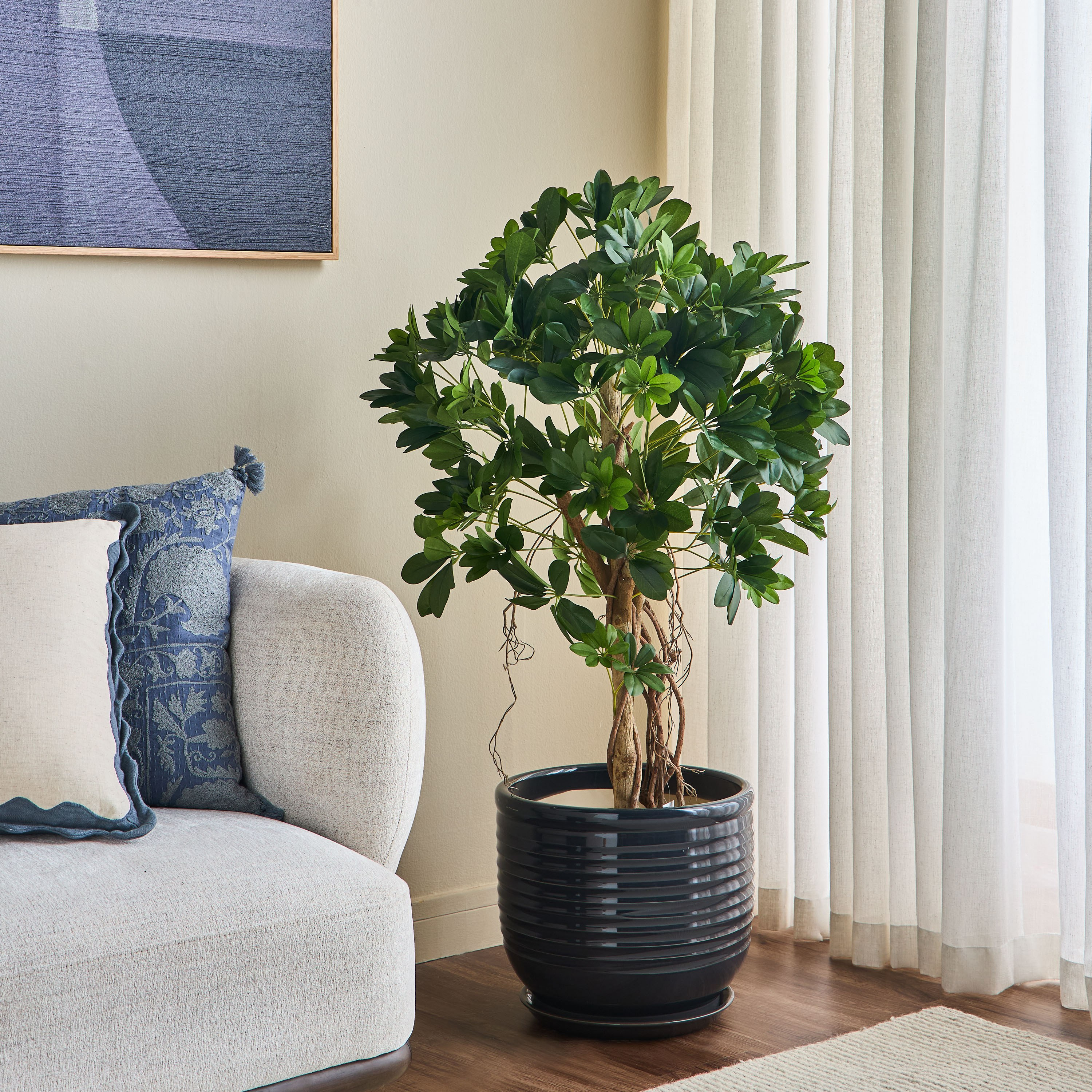 شجرة شفليرا - 120 سم-household-gardenandoutdoor-trees-image-3