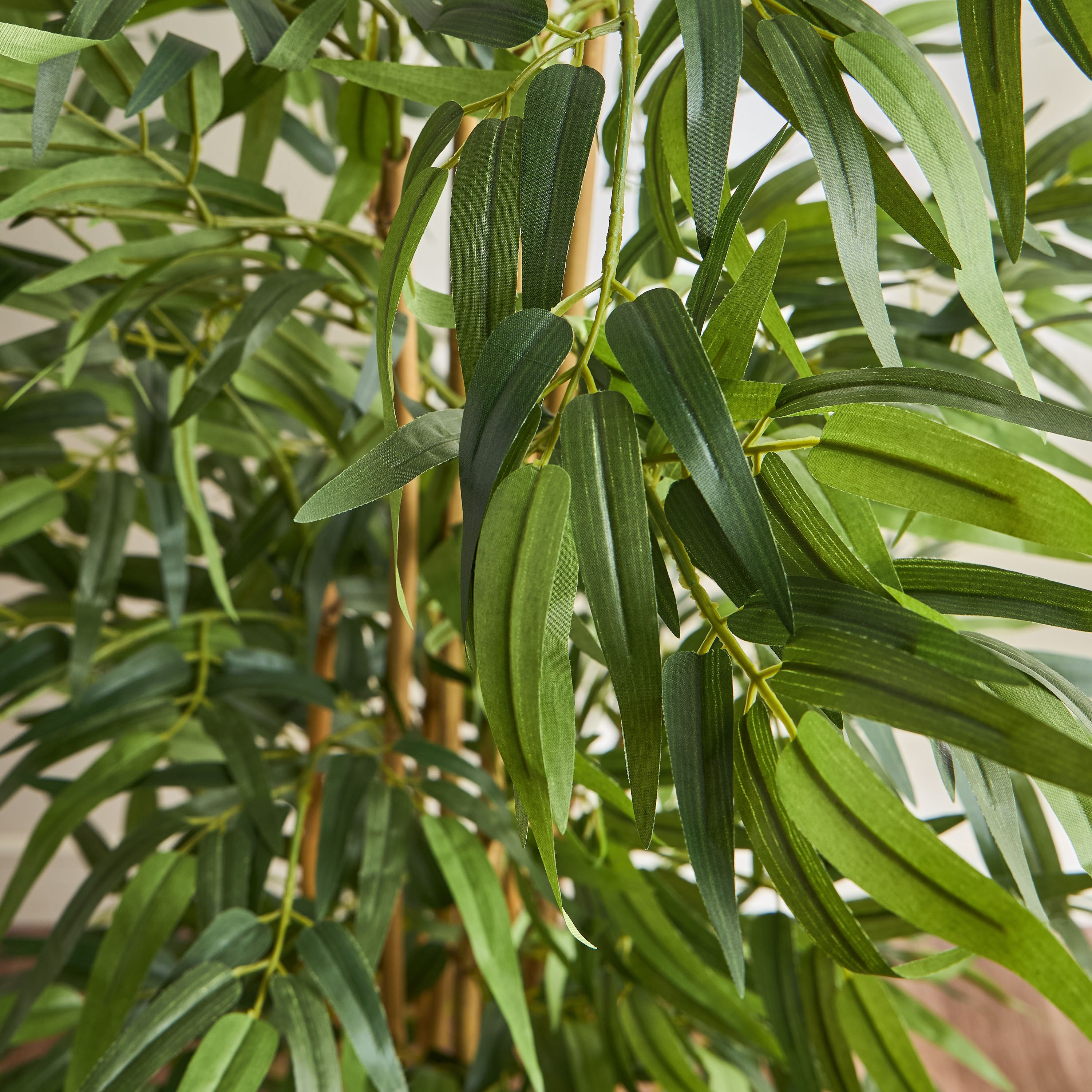 Bamboo Tree - 150 cm-household-gardenandoutdoor-trees-image-2