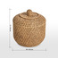 جرة قطن - أليسا-household-bathandlaundry-bathaccessories-tissueboxesandcottonjars-image-1