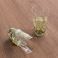 Botanical 7-Piece Glass Jug Set - 1.5 L-household-dining-glassware-drinkingglasses-image-4